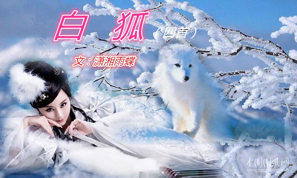 白狐（四首）（文/瀟湘雨蝶）