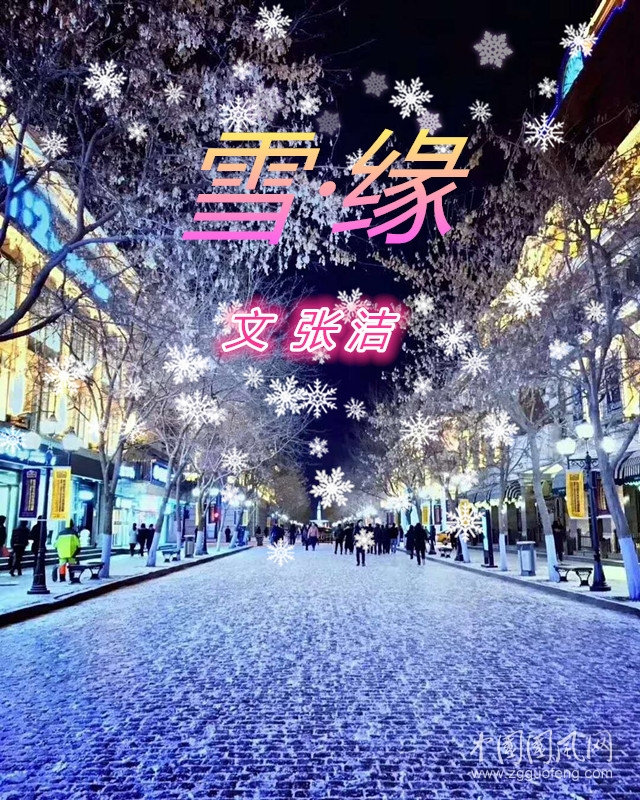  雪·緣（文：張潔）