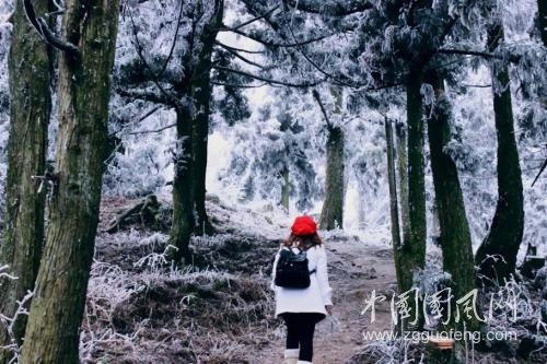 冬日念鄉(xiāng)