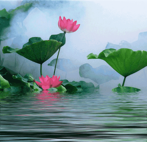 善良是心間一朵蓮花開(kāi)