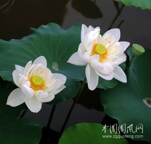 QQ截圖20180328174746.png