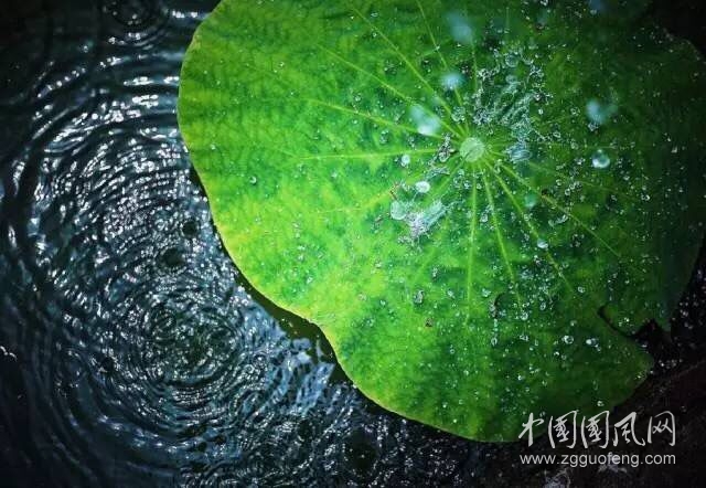 一生碎片神不碎，一詩(shī)冷暖寸心知
