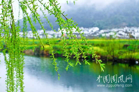 一個(gè)人的時(shí)光?