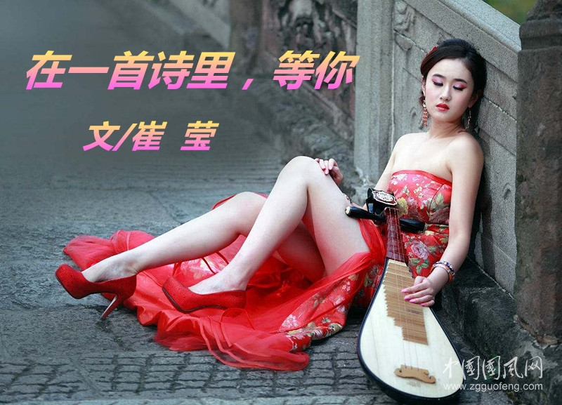 在一首詩里，等你（文/崔瑩）