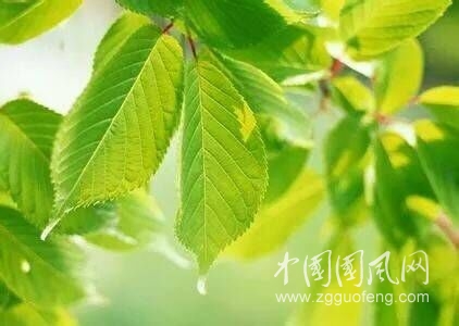 QQ圖片20180410201204.jpg