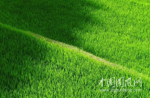 QQ截圖20180414161521.png