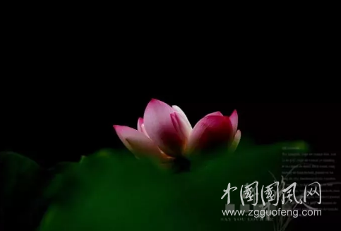 QQ截圖20180420163529.png