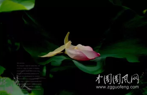 QQ截圖20180420163543.png