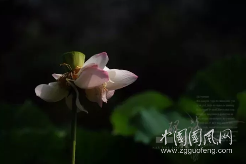 QQ截圖20180420163536.png