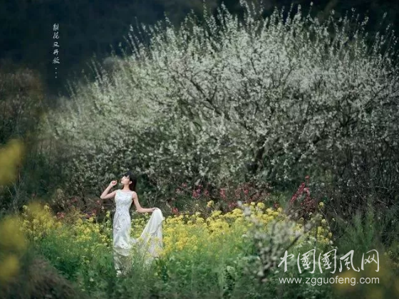 QQ截圖20180422162648.png