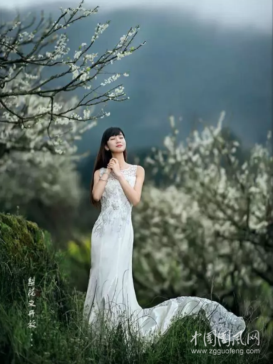 QQ截圖20180422162657.png