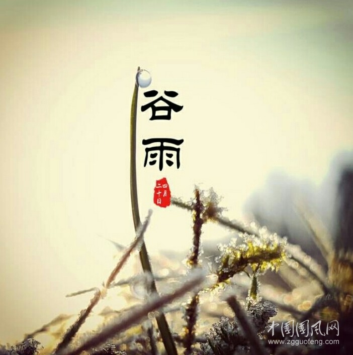 谷雨隨感