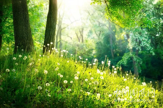  倉央，欲斷難斷