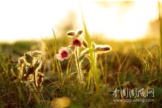 QQ截圖20180424201046.png