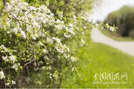  春天來了