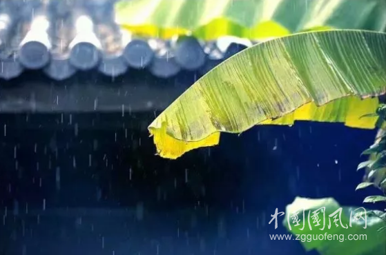 歸期幾許