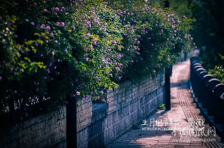 QQ截圖20180501071950.png