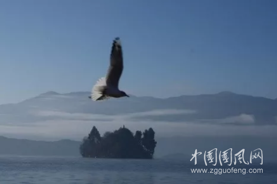 QQ截圖20180503154006.png