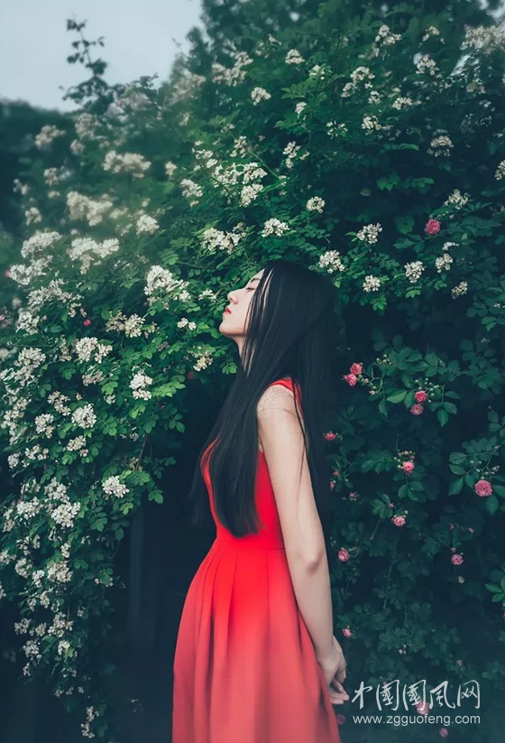 QQ截圖20180503171249.png