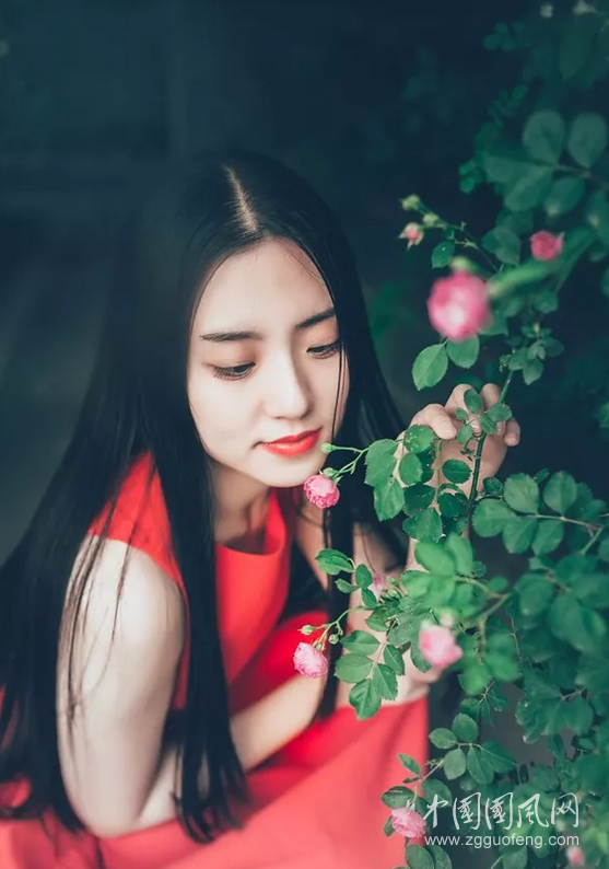QQ截圖20180503171310.png