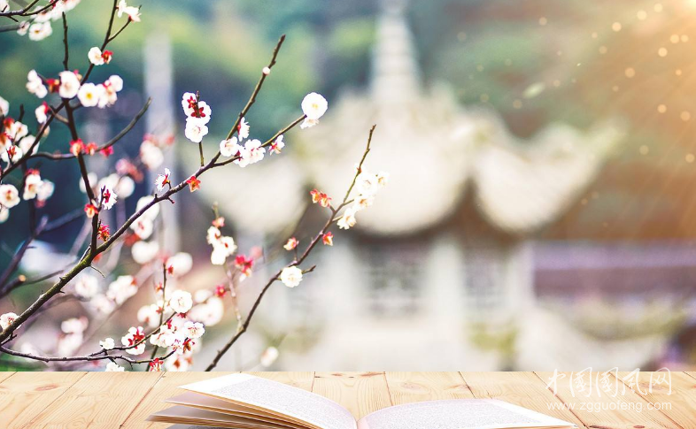 相守清淺時(shí)光