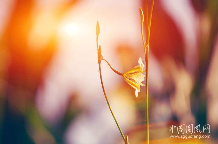 QQ截圖20180503170419.png