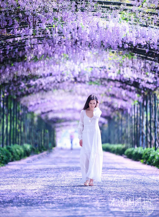QQ截圖20180505170904.png
