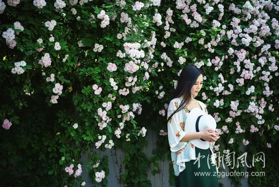 QQ截圖20180505170546.png