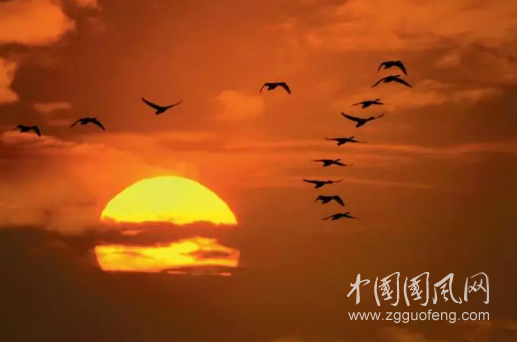 QQ截圖20180511180026.png