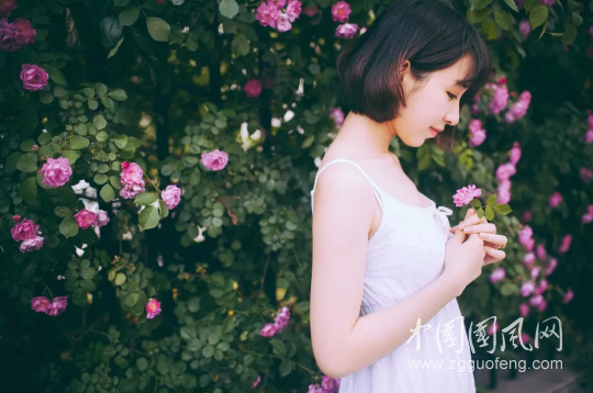 QQ截圖20180515164614.png