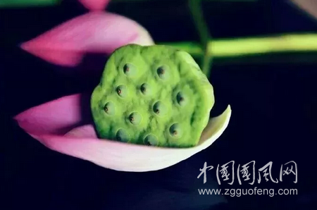 QQ截圖20180516180831.png