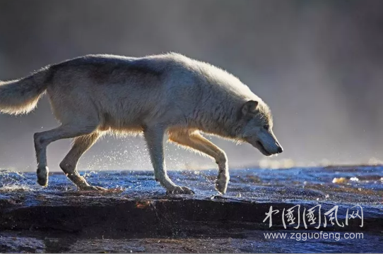 QQ截圖20180516174929.png