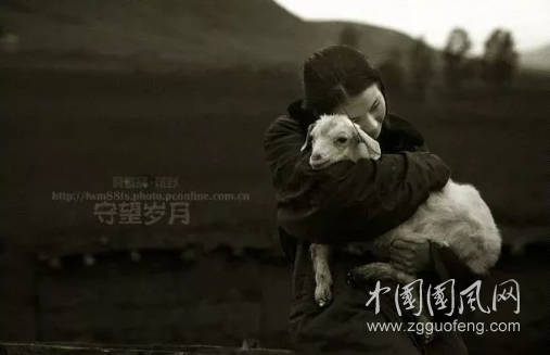 QQ截圖20180517170251.png