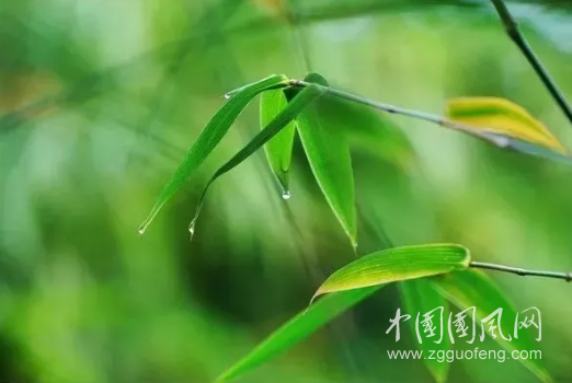  有這樣一種想念，叫做銘刻