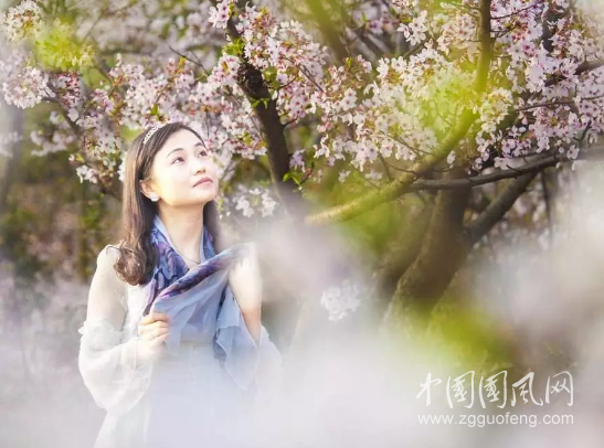不滅的夢(mèng)想