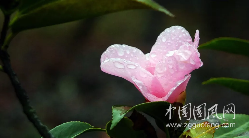 QQ截圖20180525191338.png