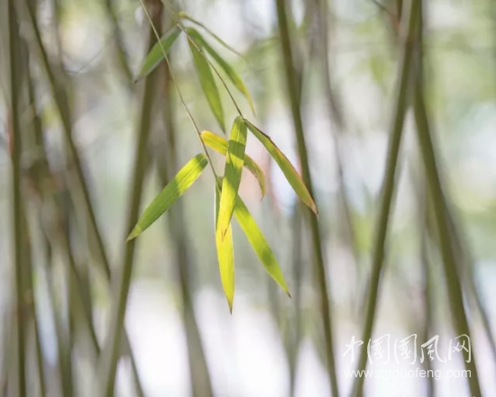 聽(tīng)媽媽的話