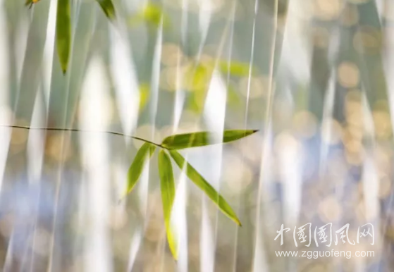 QQ截圖20180525182419.png