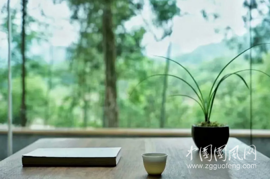  一盞清茶，聽風(fēng)數(shù)雨