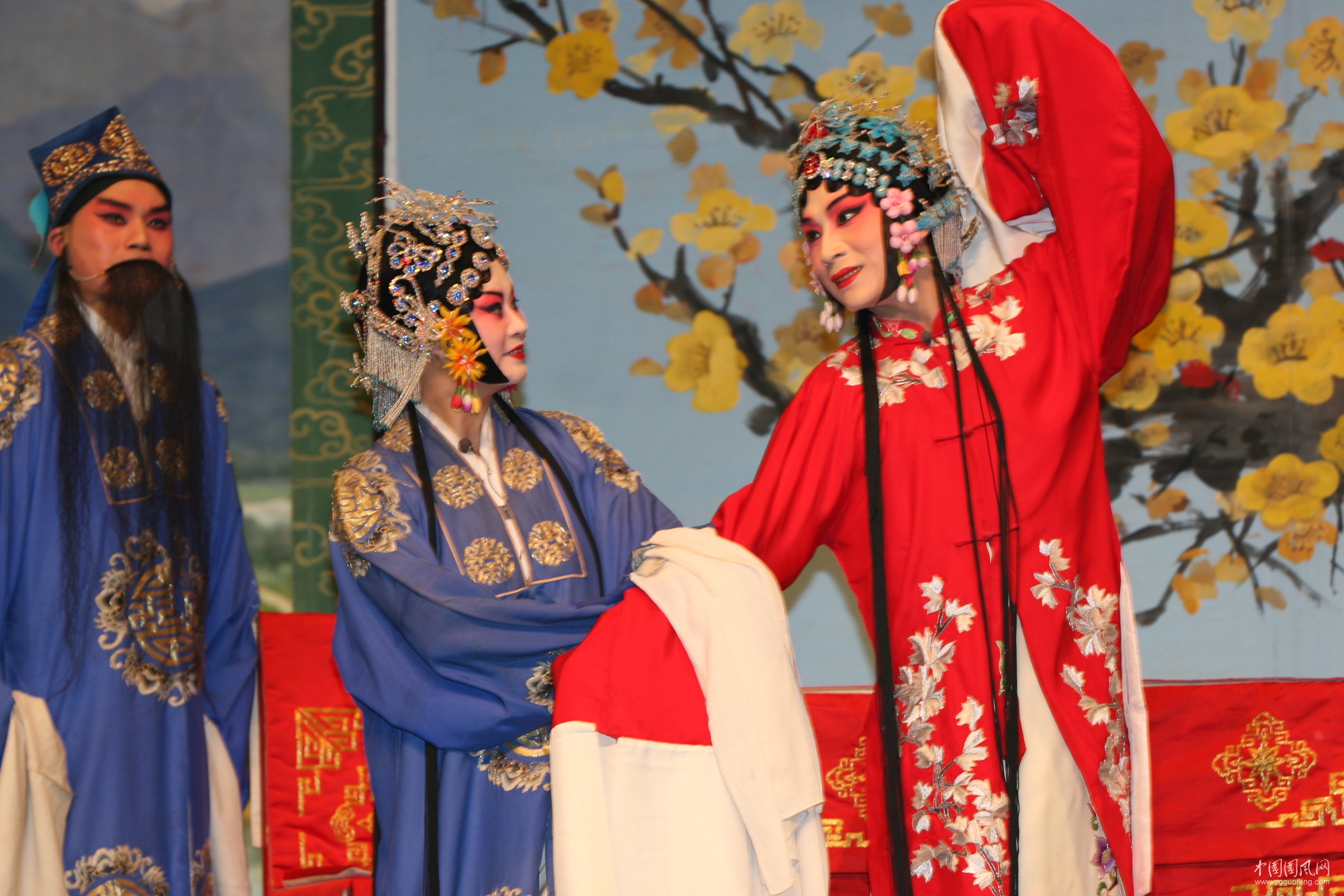 夢(mèng)中的梨園春