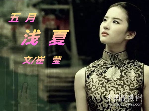 五月，淺夏（文/崔瑩）