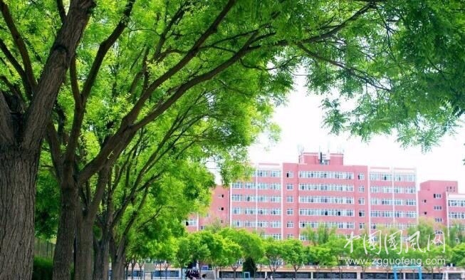  隴橋丨不負青春不負夢