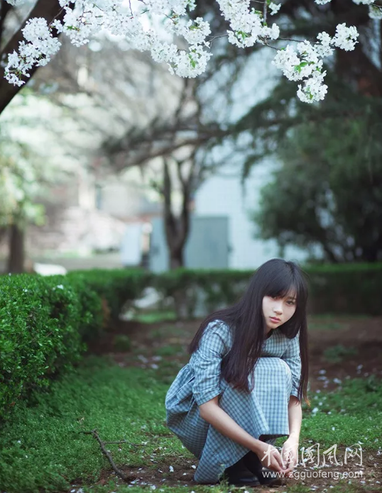 QQ截圖20180603175252.png