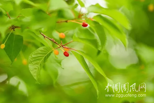  六月六日，題寫一幅肖像
