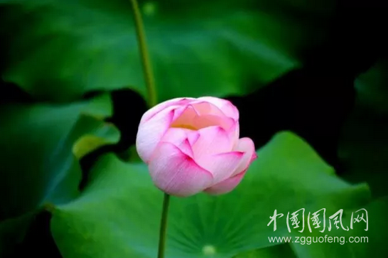 QQ截圖20180605174012.png