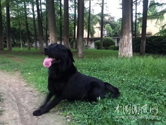 QQ截圖20180614174143.png