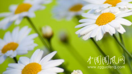 QQ截圖20180620192511.png