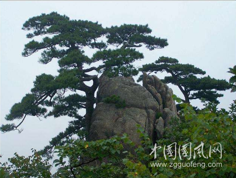 漸行漸遠(yuǎn)的時光