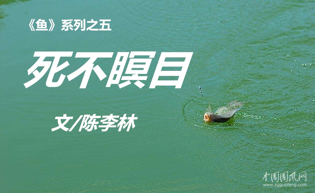 死不瞑目（文/陳李林）