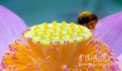 QQ截圖20180701192311.png